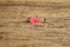 Rocket Plastic Earrings